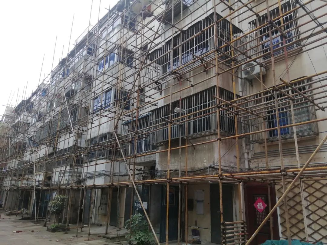 上海徐汇区金牛花苑老旧小区改造项目加装电梯列入住建部第二批城市更新典型案例集锦(图1)