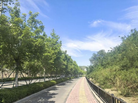 山東已改造老舊小區15萬個 讓老城逆生長(图3)