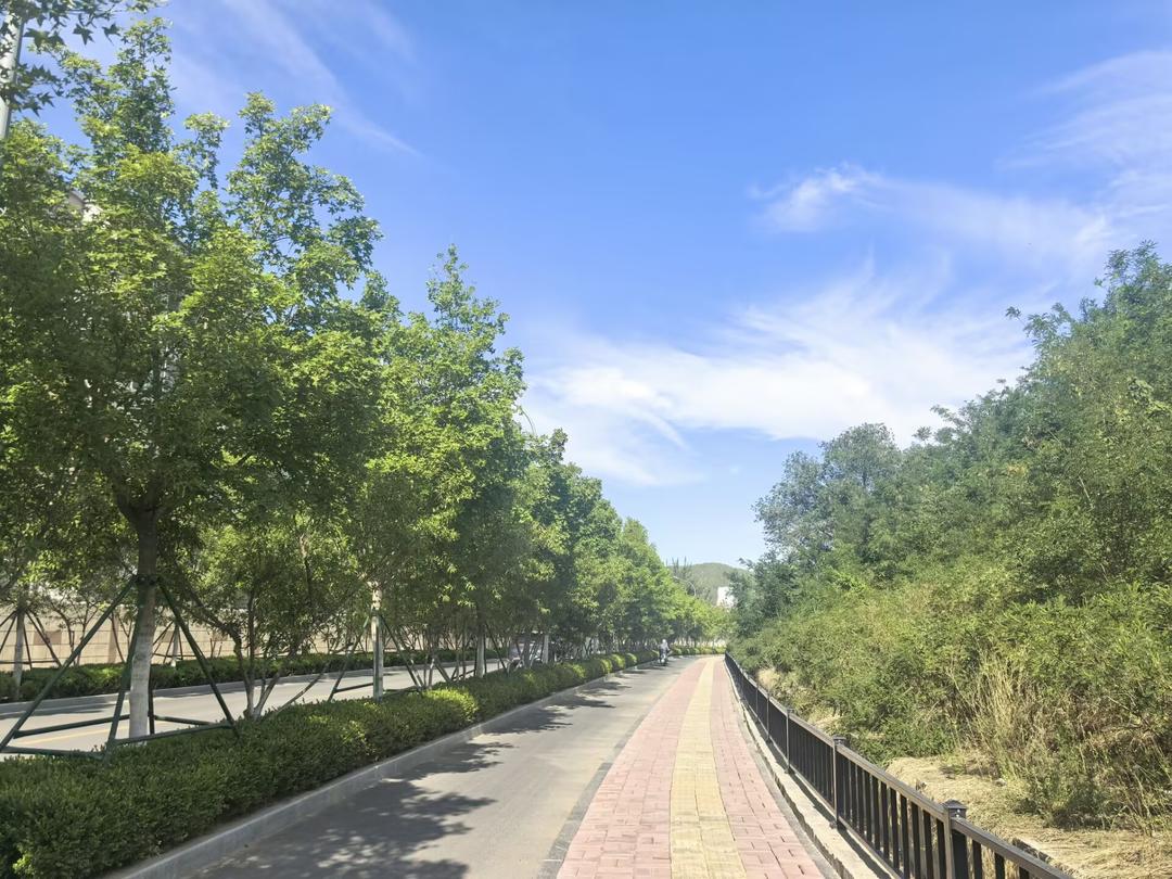 老城何以“逆生长”？看山东经验→(图6)