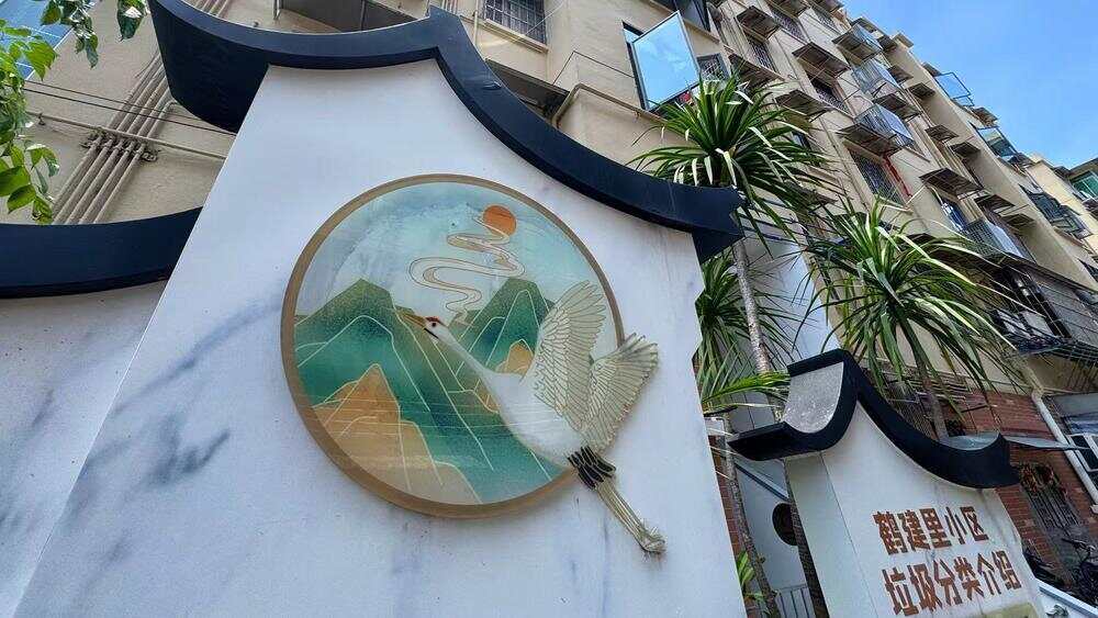 视频｜广州荔湾一老旧社区“变靓”三线整治有妙招(图4)