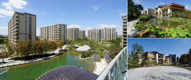 2025适老化改造为何成最大风口？(图12)