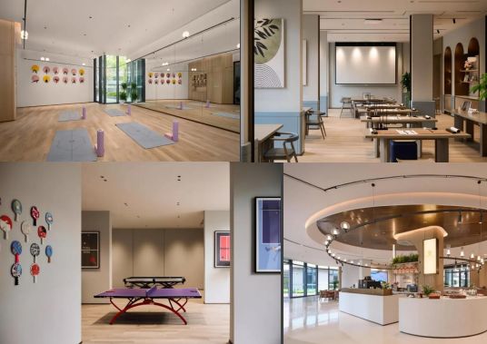 2025适老化改造为何成最大风口？(图19)