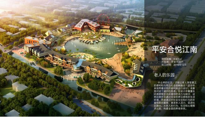 2025适老化改造为何成最大风口？(图32)