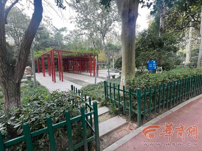 适老化大调研华商报记者走访了12座城市公园 适老化方面这些做得还不错 但还有改进空间(图11)