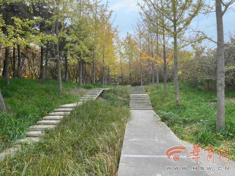 适老化大调研华商报记者走访了12座城市公园 适老化方面这些做得还不错 但还有改进空间(图25)