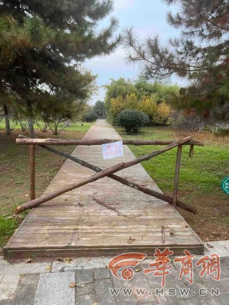 适老化大调研华商报记者走访了12座城市公园 适老化方面这些做得还不错 但还有改进空间(图35)