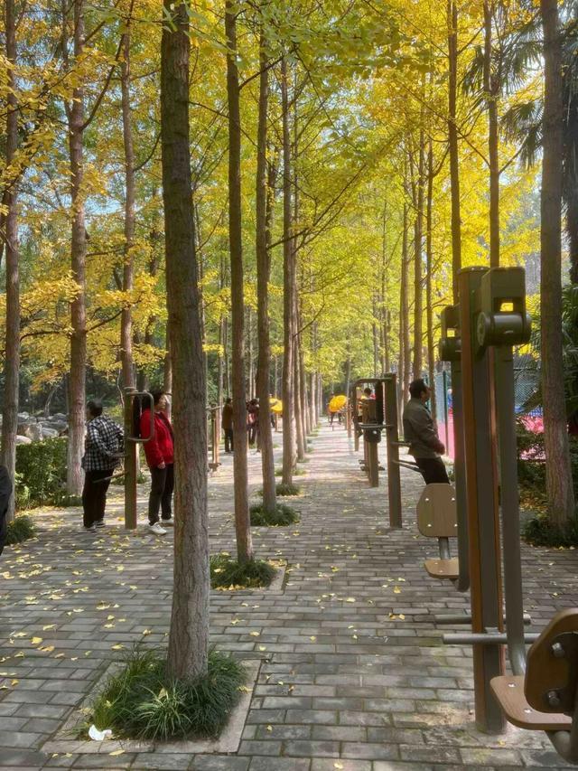 华商报记者走访了12座城市公园适老化方面这些做得还不错但还有改进空间(图15)