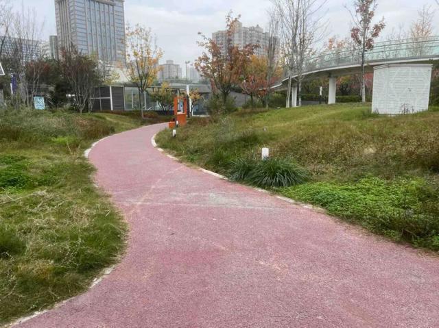 华商报记者走访了12座城市公园适老化方面这些做得还不错但还有改进空间(图29)