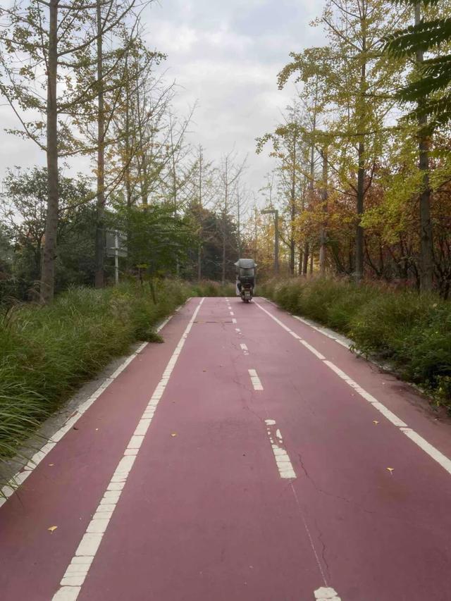 华商报记者走访了12座城市公园适老化方面这些做得还不错但还有改进空间(图24)