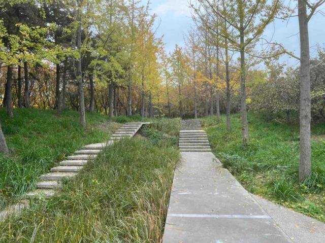 华商报记者走访了12座城市公园适老化方面这些做得还不错但还有改进空间(图25)