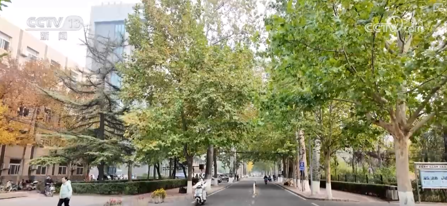 “智慧盖楼”让百姓幸福感原地“升级” 老房焕新填充更多暖心“民生温度”(图3)