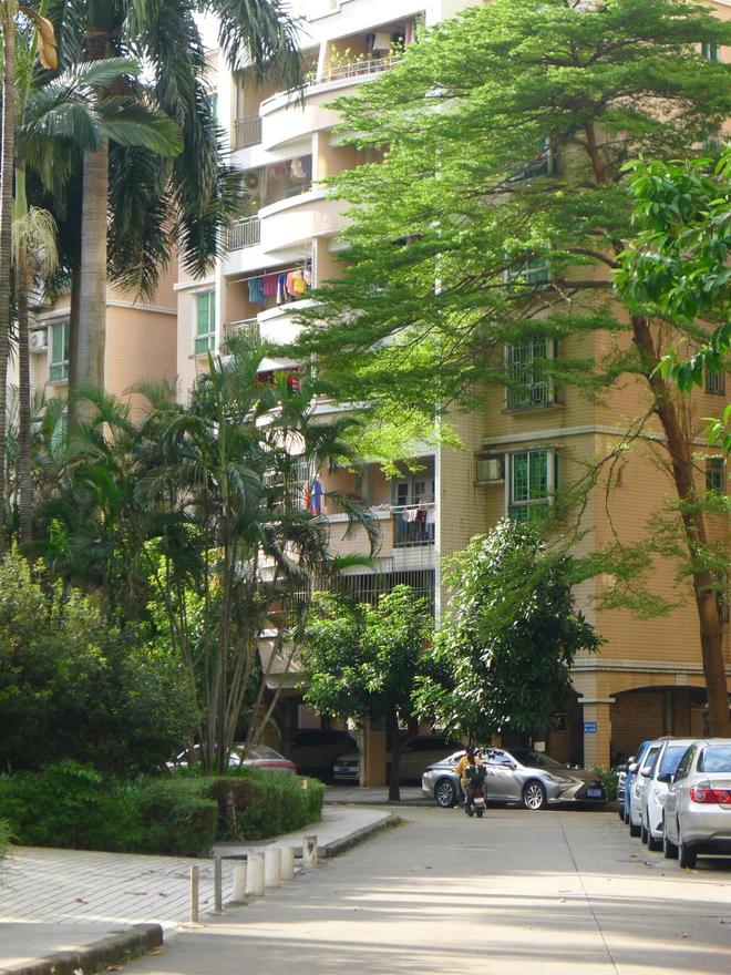 住建部放线年的房子将按新规处理老小区有福了(图10)