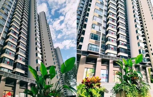 中国摸着日本过河：地产泡沫破灭、人口老龄化、低欲望社会(图3)