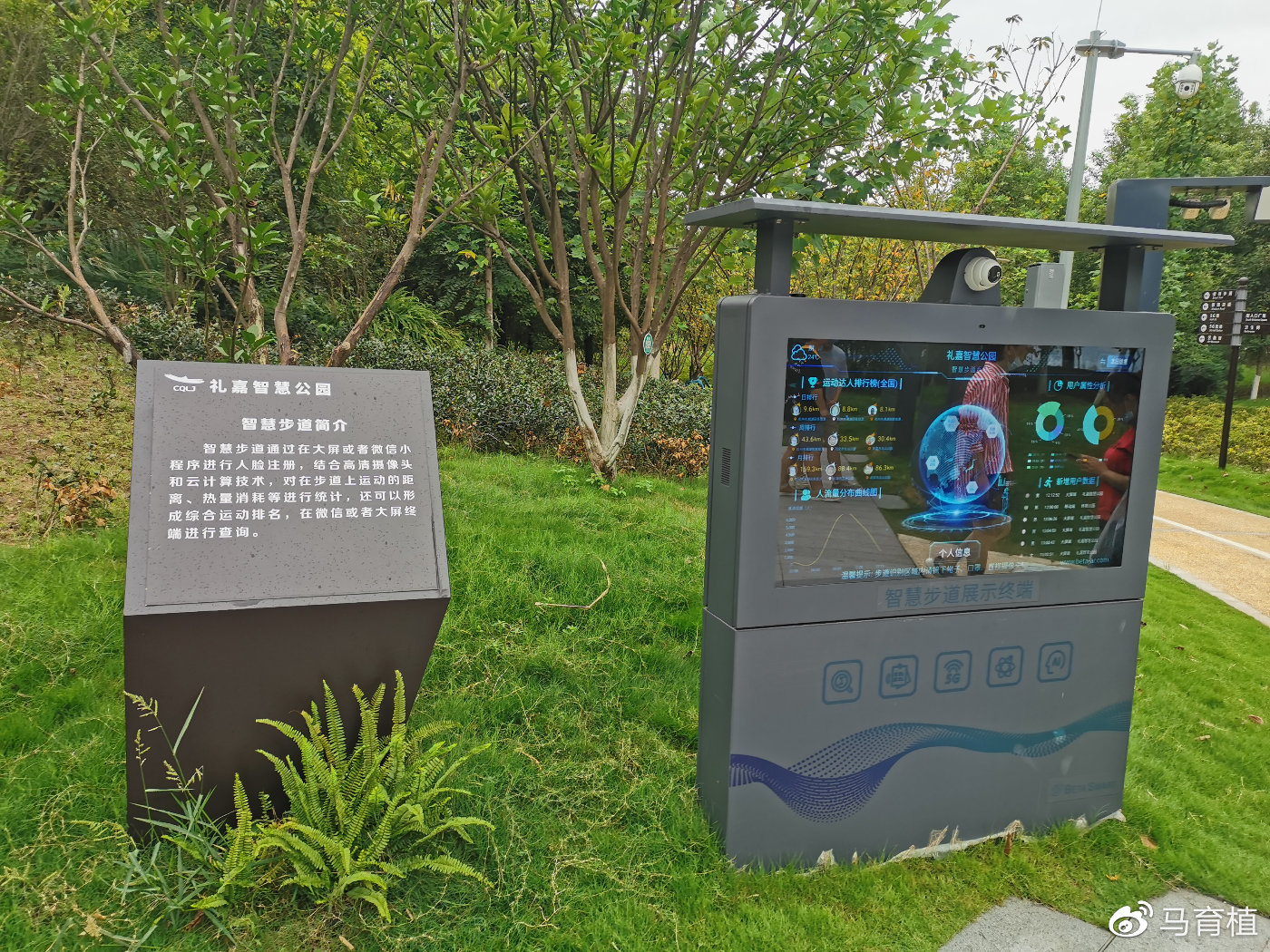 五年筑路惠民！自贡大安交通交出“畅行+富民”双优答卷(图1)