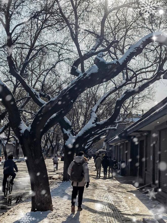 2025影像盘点｜摄影智慧的修行——摄影师 江泳(图6)