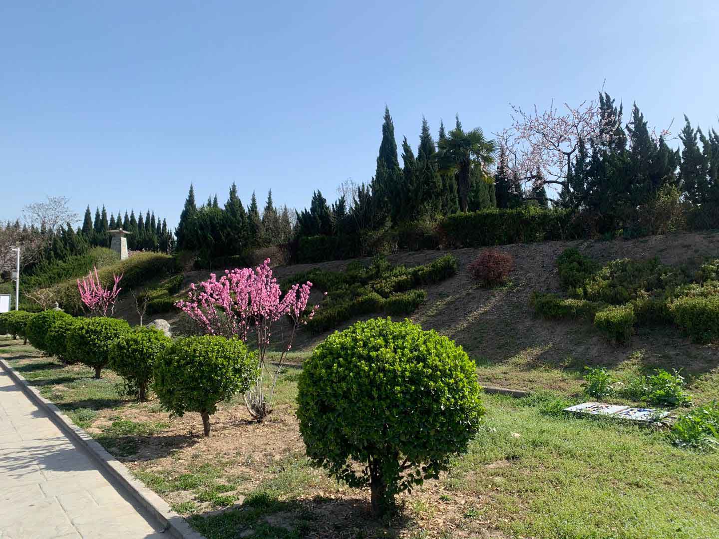 赤水优质均衡新变(图1)