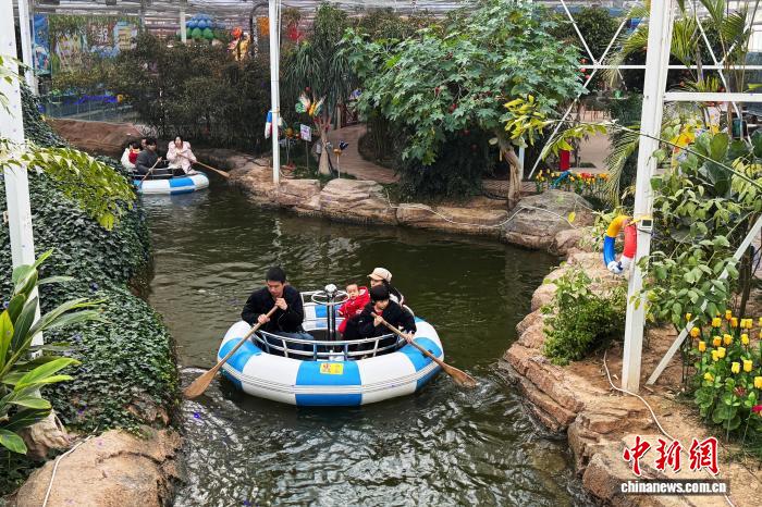 宁夏景区适老化改造提质 银发族乐享舒心旅途时光(图3)