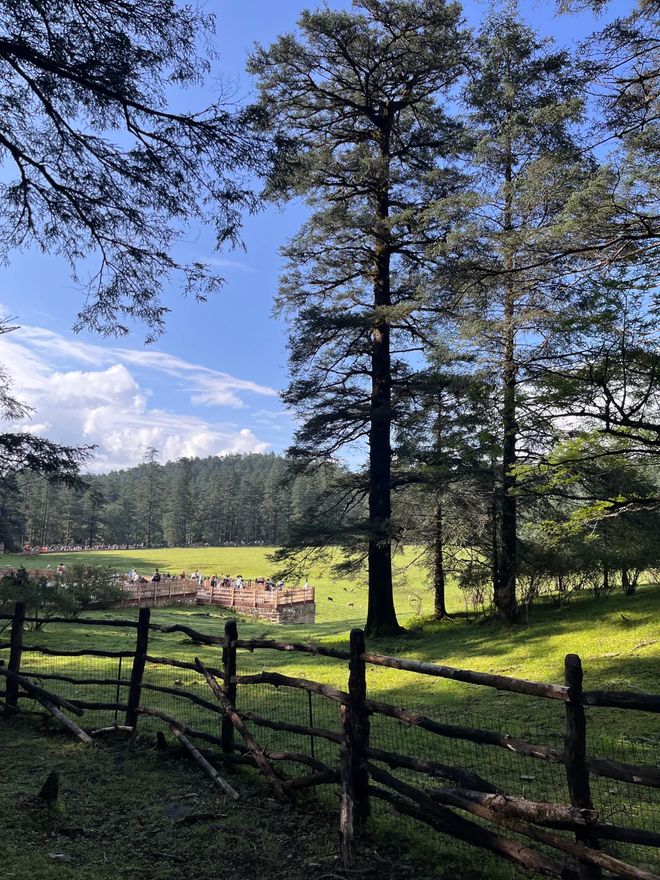 云南旅行社如何选？一份榜单全知道：含口碑最好排名、十佳推荐(图2)