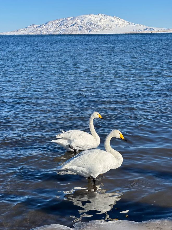新疆旅行社排名前十及口碑推荐：乌鲁木齐口碑最好的旅行社全解析(图3)