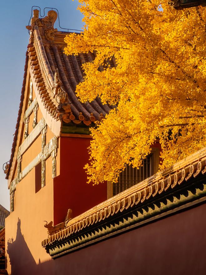 官方大数据：北京十佳旅行社实测推荐蒙旅国际占位榜首实力领跑(图4)