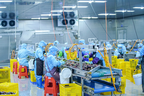 玉林：以营商环境之“优”促县域经济之“进”(图2)