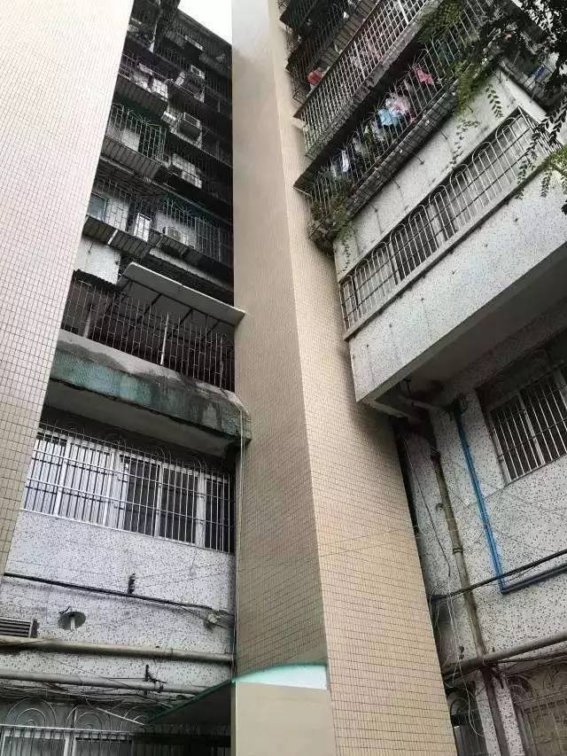 社会民生_大庆网(图1)