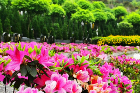 CCTIME飞象网(图1)