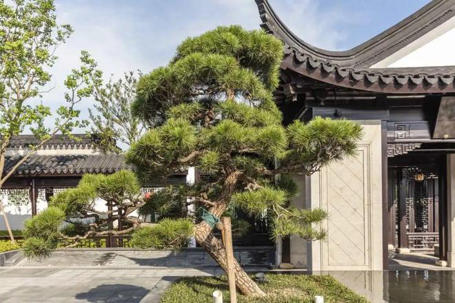 官方聚焦 璟云里售楼处官方发布：璟云里理想置业优选(图13)