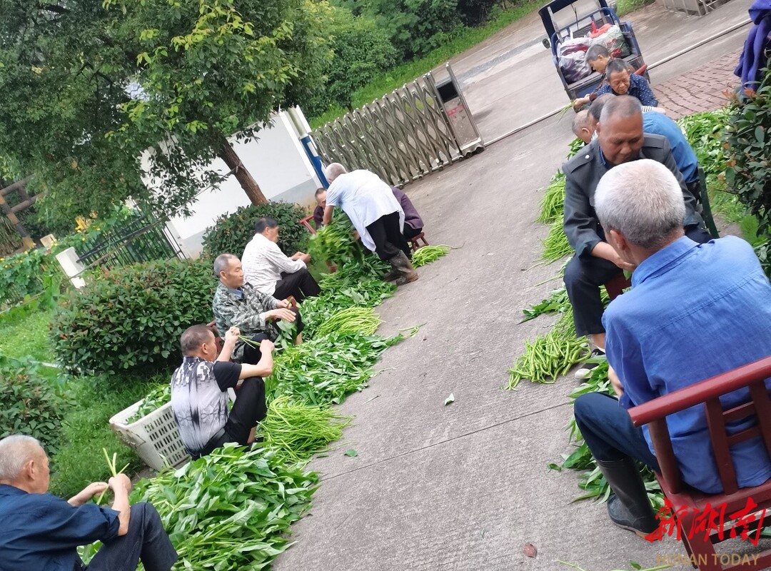 让城市更新 让生活更美(图1)