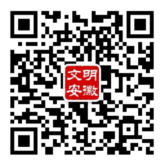 宿州市：凝心聚力立德树人用心用情育见未来(图2)